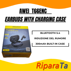 AWEI T66ENC - EARBUDS WITH CHARGING CASE